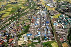 Arai Plant Arai Plant
