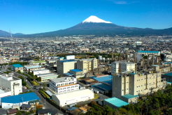 Fuji Plant Fuji Plant